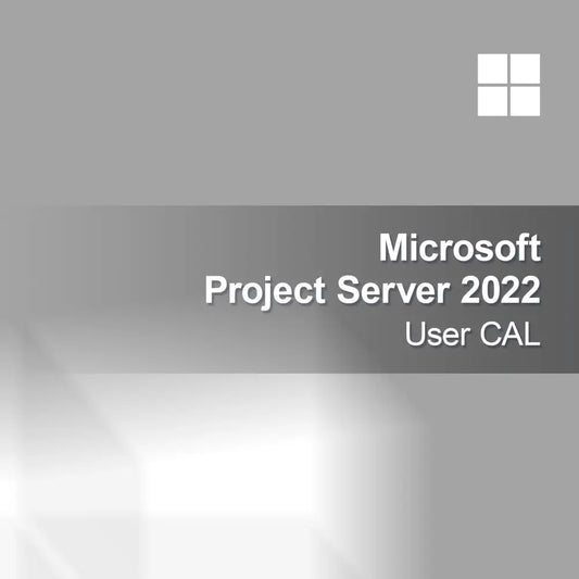 Microsoft Project Server 2022 Kullanıcı CAL