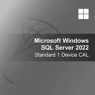 Microsoft SQL Server 2022 Standard 1 Cihaz CAL