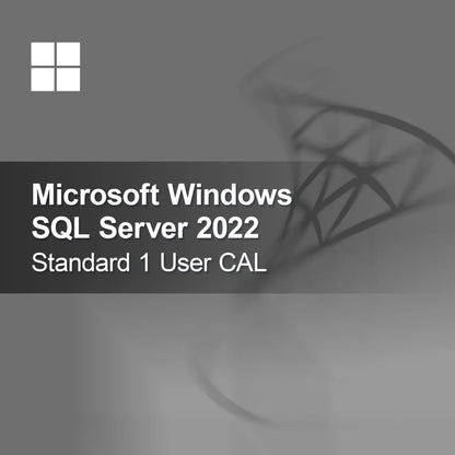 Microsoft SQL Server 2022 Standard 1 User CAL